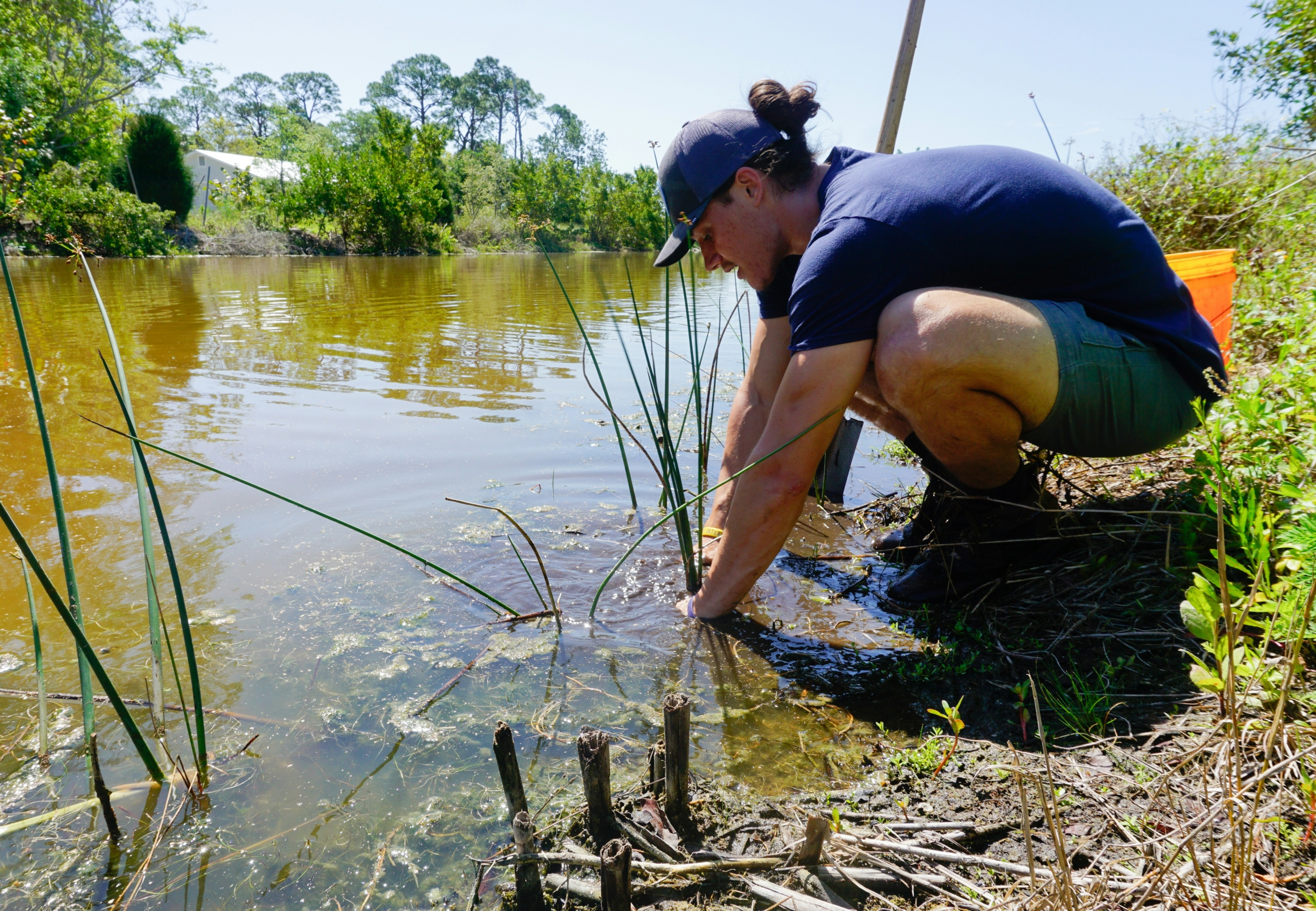 a woman crouches down to collect water from a pond